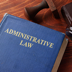 Administrative Law